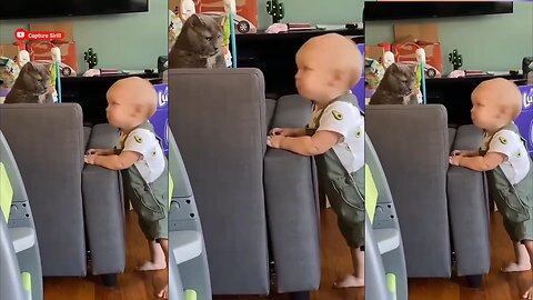 Cat's mischief crosses the limit