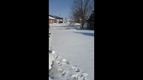 winter