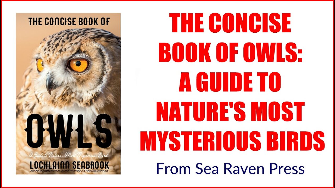 Product video for our bestselling book "The Concise Book of Owls"