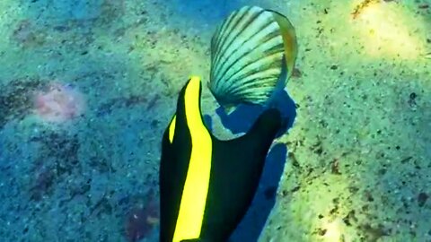 SUBSIDE Walkthrough Gameplay Letsplay 4K 60fps PS5 Pro PSVR 2 Demo No Commentary