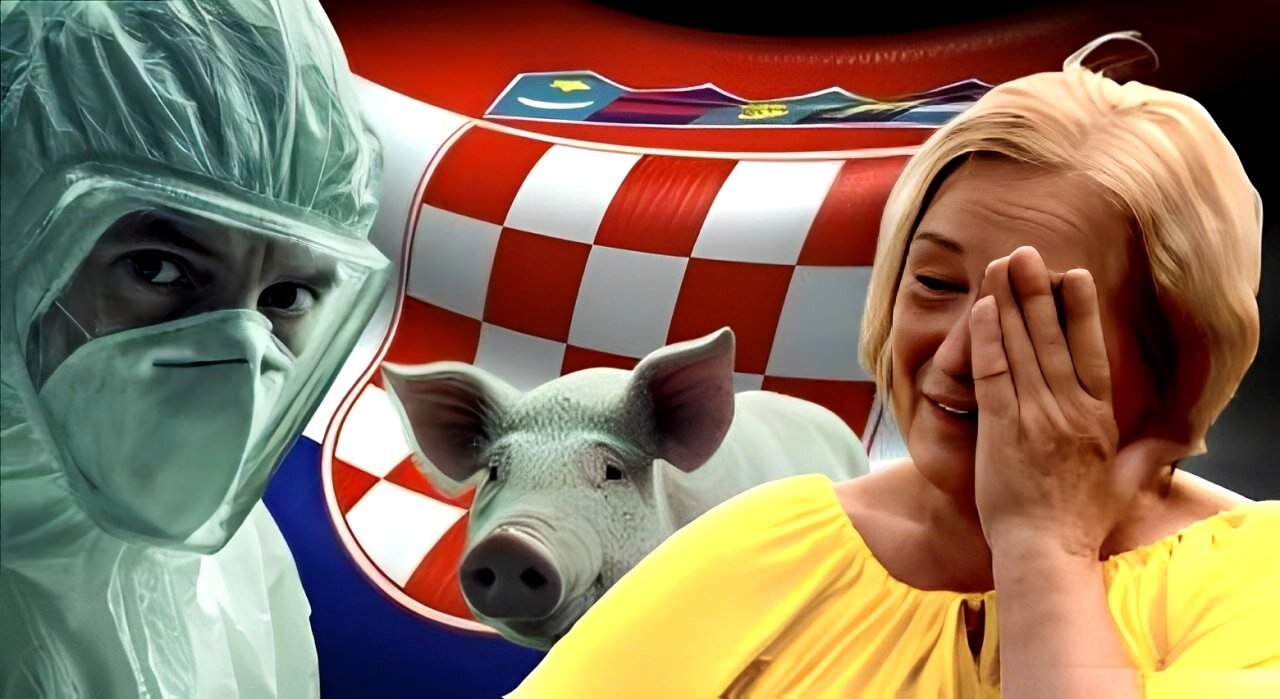Mieszkańcy Baranji z niedowierzaniem i łzami w oczach obserwują, jak władza pod pretekstem „choroby” uśmierca całkowicie zdrowe świnie, odbierając im tym samym źródło utrzymania.