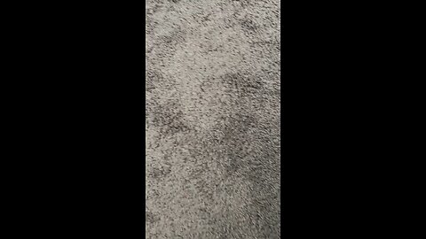 Test 2