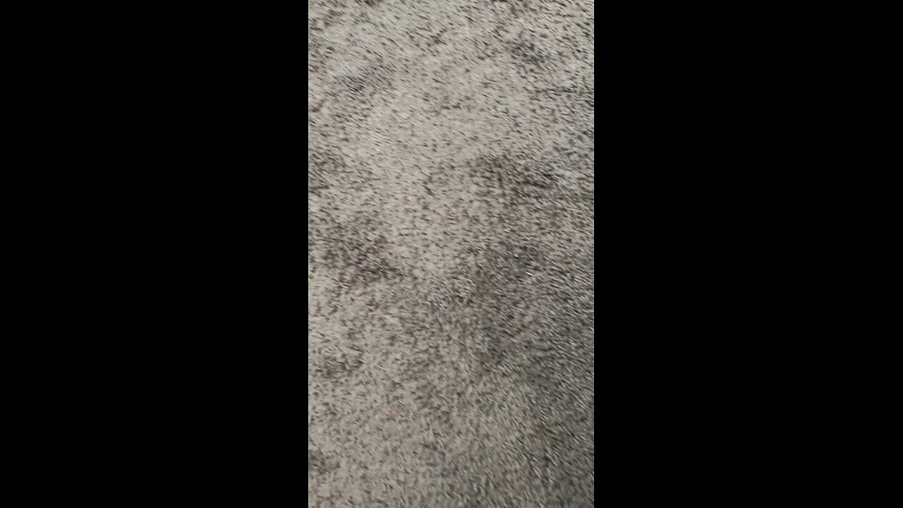 Test 2