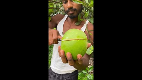 fresh pomelo from tree #short #fruits