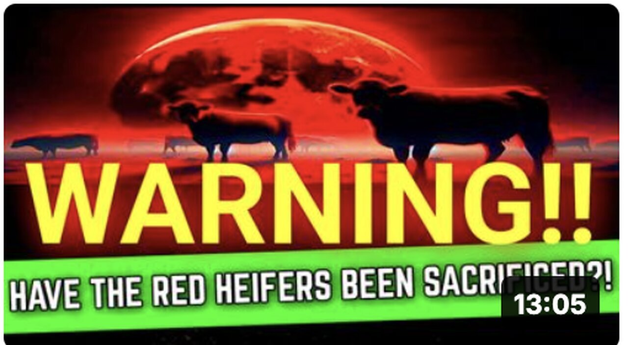 "Latest Developments on the Red Heifer"