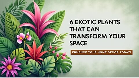 6 Exotics Plants that can transform your space
