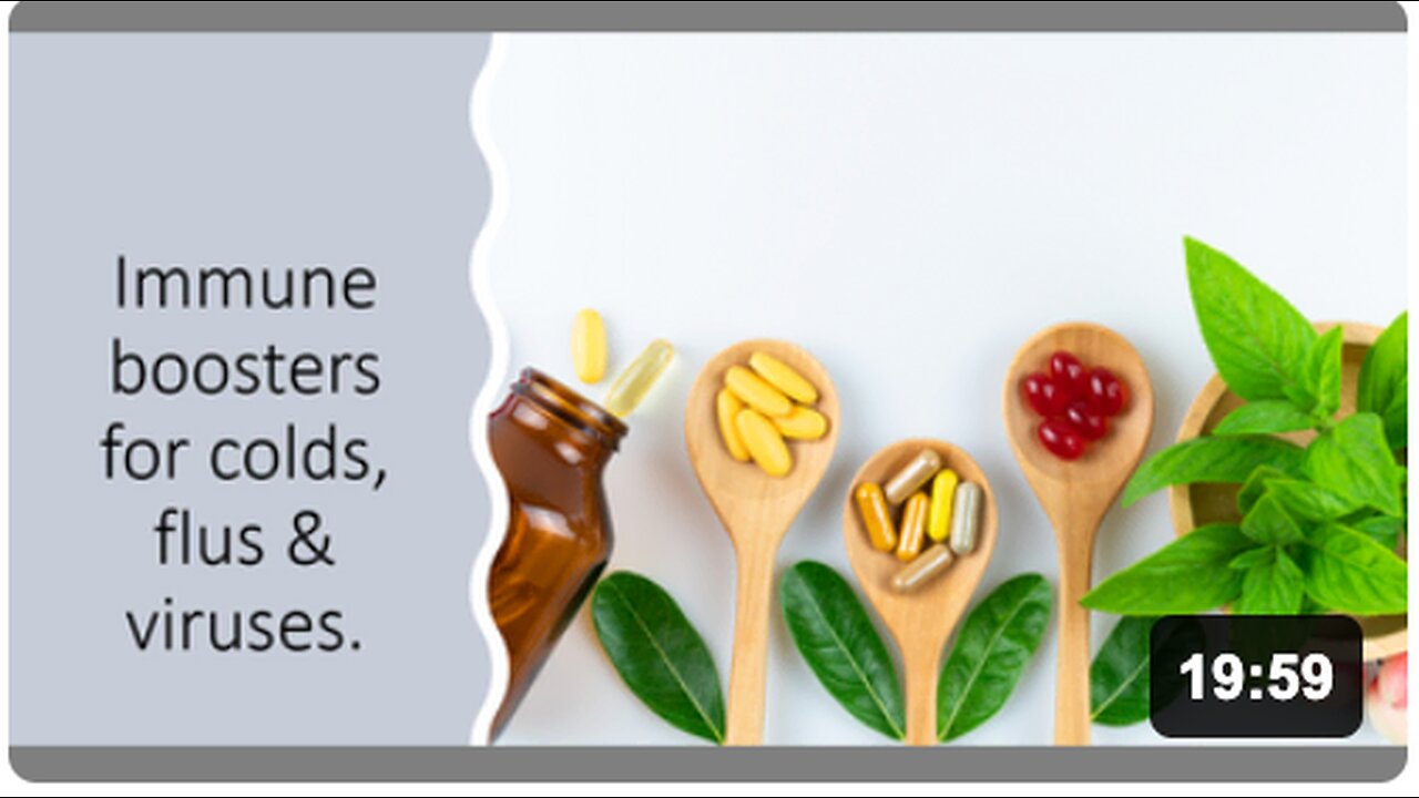 The Immune System - Colds, Flus & Viruses - Shikimic acid & Covid