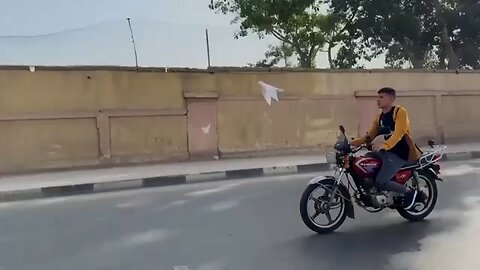 Cairo bird trainer rides motorcycle with free-flying dove in tow