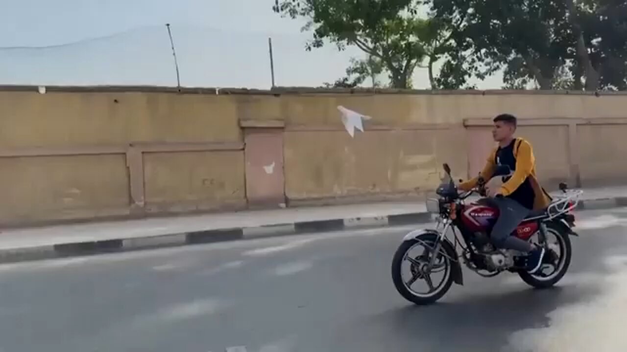 Cairo bird trainer rides motorcycle with free-flying dove in tow