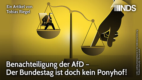 Benachteiligung der AfD – Der Bundestag ist doch kein Ponyhof! | Tobias Riegel | NDS-Podcast