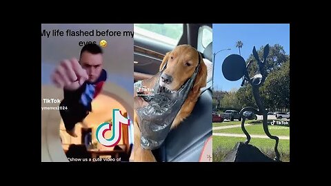 Funny TikToks that Had me Rolling on the Floor!