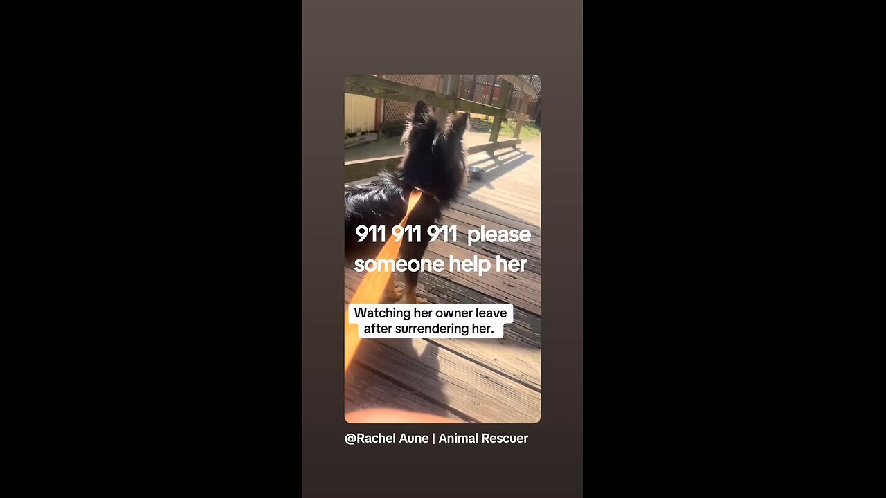 please help