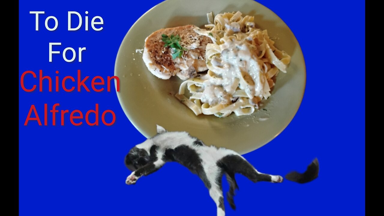 To Die For - Chicken Alfredo