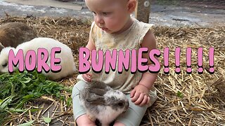 adorable playdate: baby kayla surrounded by bunnies | cutest moment