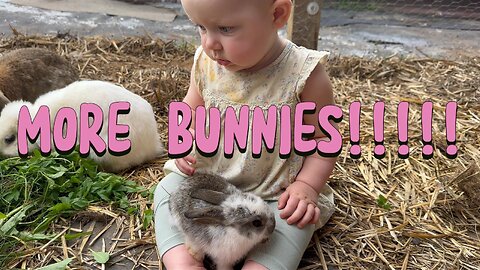 adorable playdate: baby kayla surrounded by bunnies | cutest moment