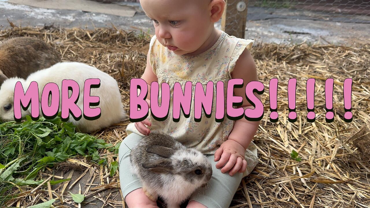 adorable playdate: baby kayla surrounded by bunnies | cutest moment