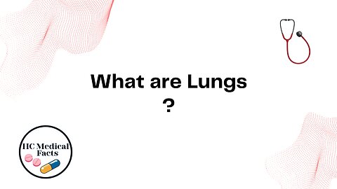 What are Lungs ?