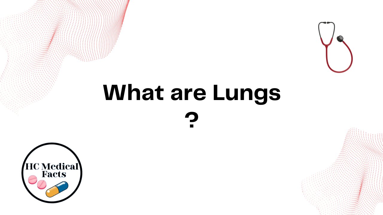 What are Lungs ?