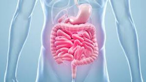 Biological Parasites in Humans Big Food and Big Pharma Collusion with Dr Diane Kazer