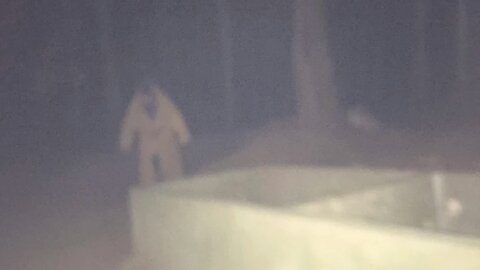 Raccoon Human