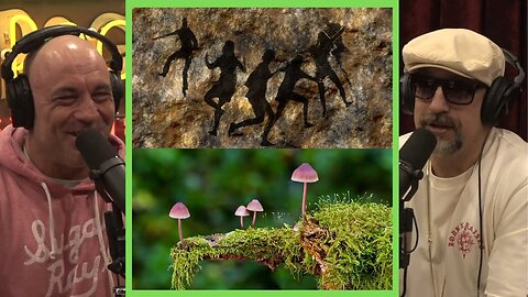 Joe Rogan & B-Real: When Did Humans Start Taking Mushrooms & Should They Be Legal?
