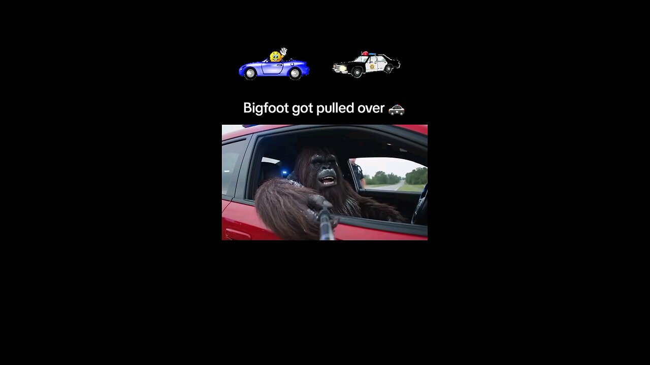 Bigfoot got pulled over