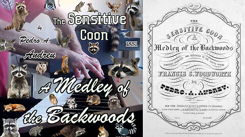 The Sensitive Coon: A Medley of the Backwoods (1851) by Pedro A. Andreu