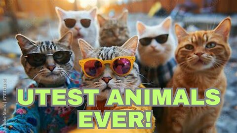 utest animals Ever! Adorable Playtime Moments You Can't Miss