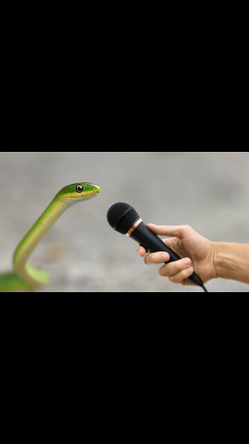 Christian Comedy Gold: The Talking Snake ✝️✡️