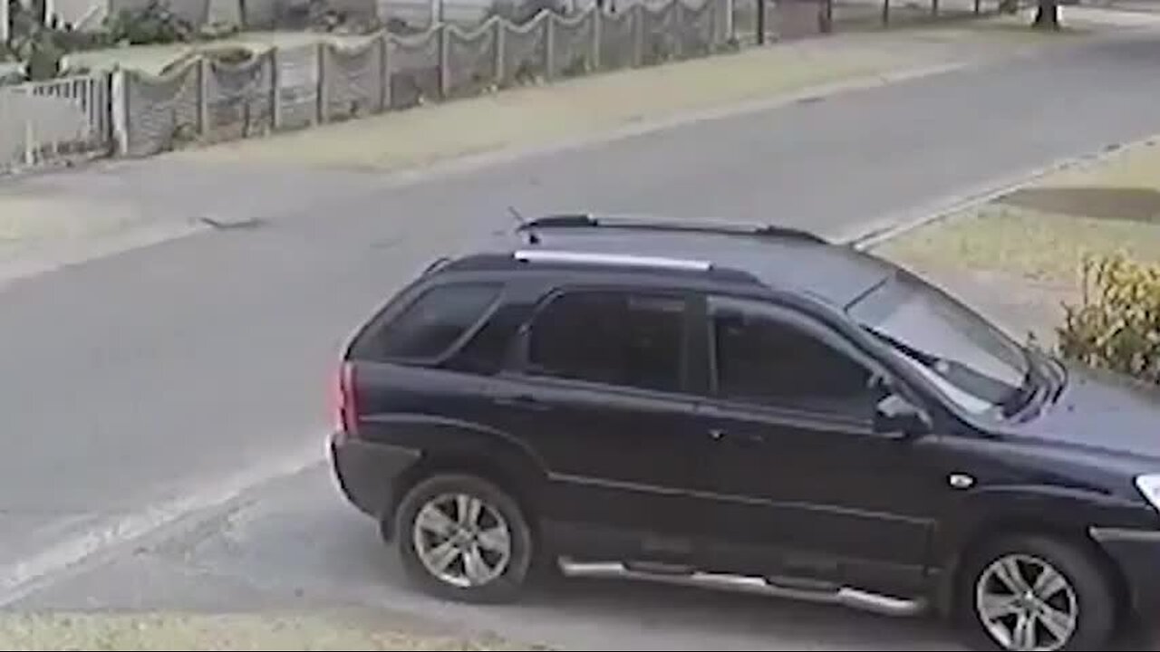 30 Thieves Who Got Owned By Guard Dogs