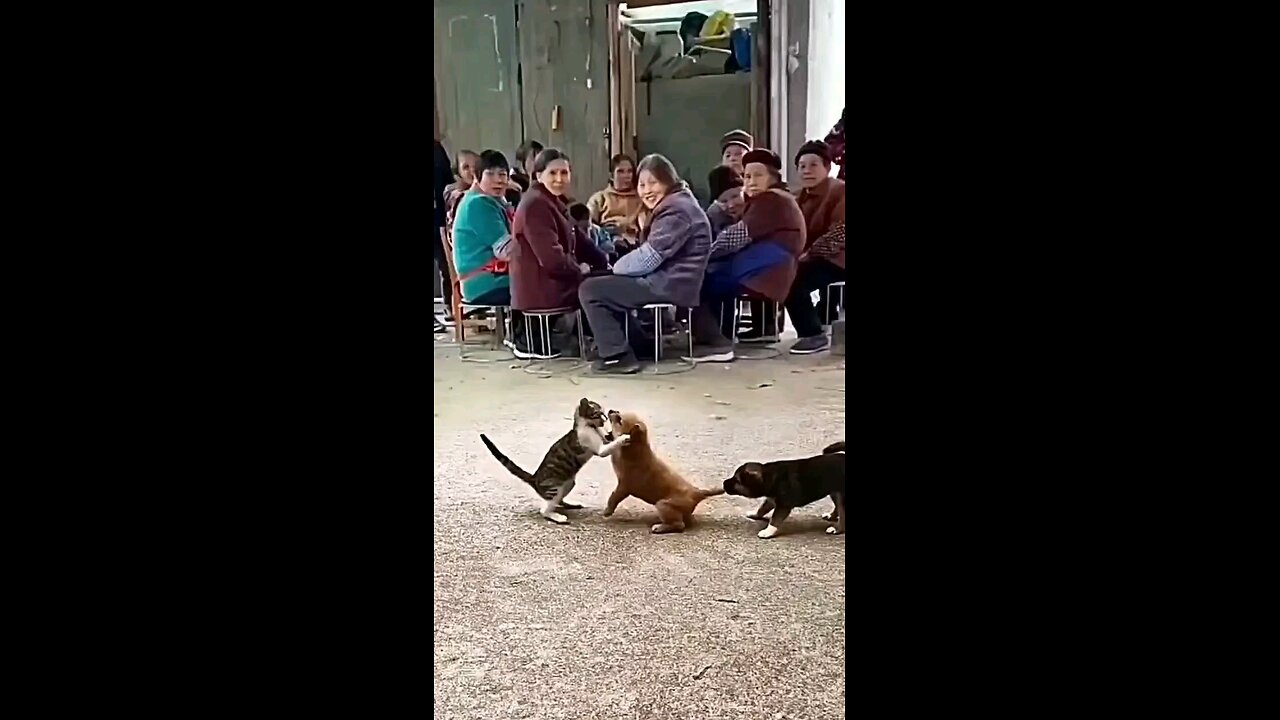 मत लड भाई