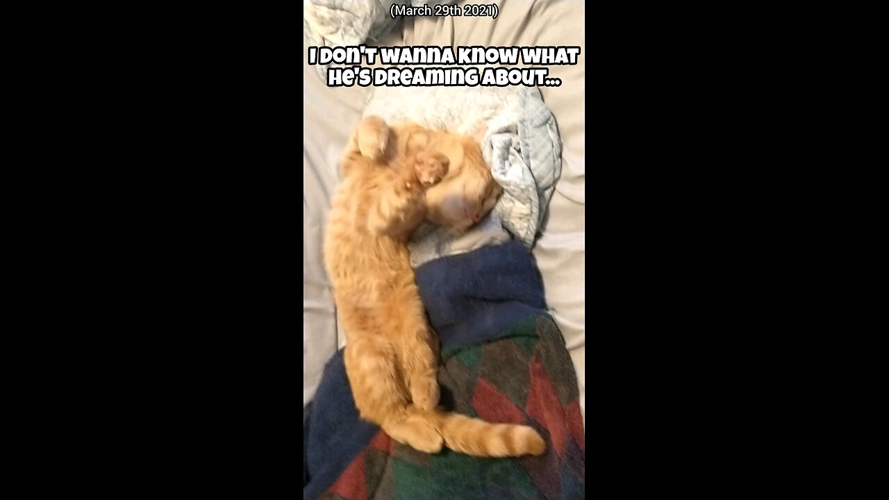 I don't wanna know what he's dreaming about...