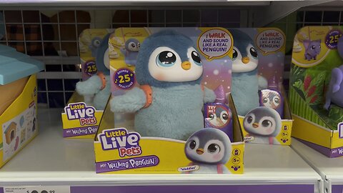 My Walking Penguin Toy