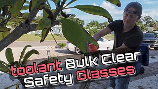 toolant Bulk Clear Safety Glasses Review ANSI Z87.1 UV 400