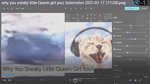 Why You Sneaky Little Queen Girl You!