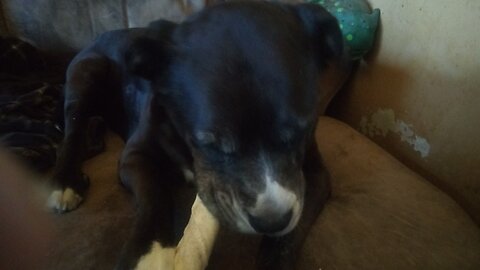 Random cutting my own hair on stream