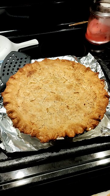 Eating Homemade Chicken Pot Pie Made By My Wife, Dbn, MI, 1/20/26