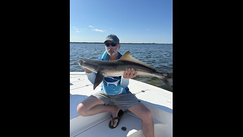 Florida West Coast Fishing Report