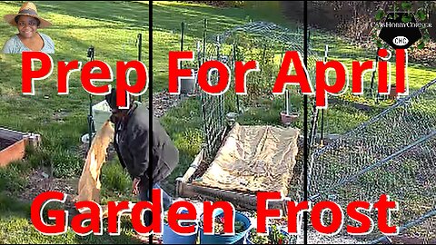 Prep For April Frost - #catshobbycorner #gardening