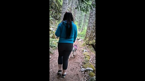 Iron Goat Trail Hike 5/10/25 Part 5/12