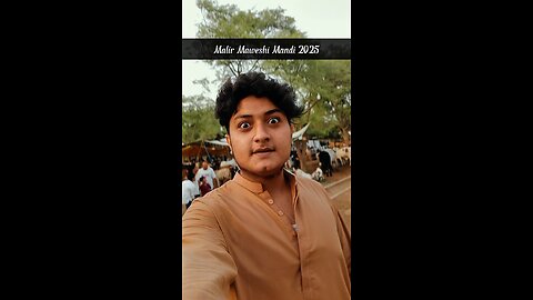 Malir Maweshi Mandi Before Eid-ul-Azha 2025