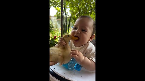 Baby Playing With Duck 🦆