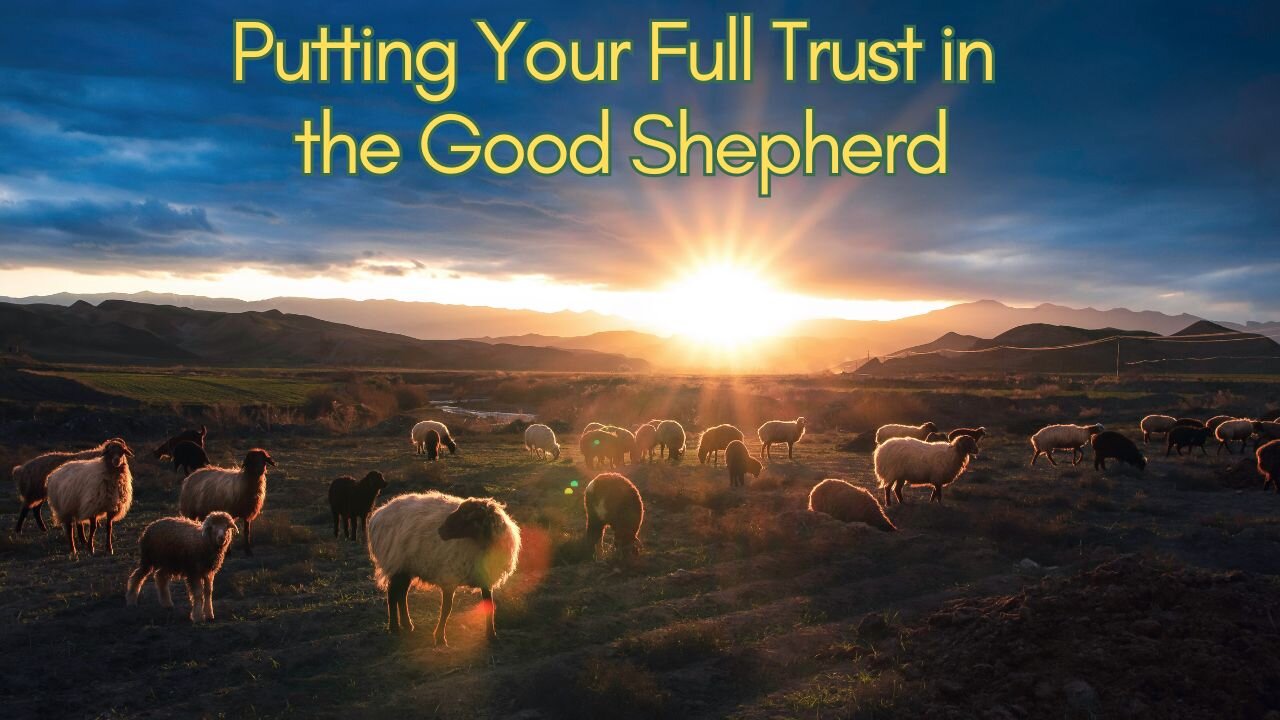 2025.8.17 TFHC - Putting Your Full Trust In The Good Shepherd | John 10:11-18