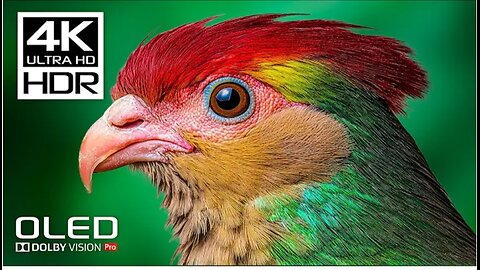 Best Dolby Vision 4K HDR Video ULTRA HD 120fps - Relaxing Music for Stress Relief