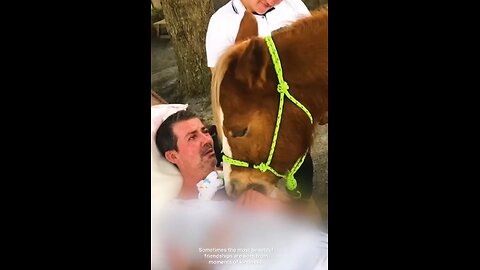 A bond beyond words 🐾❤️ #AnimalLove #Friendship