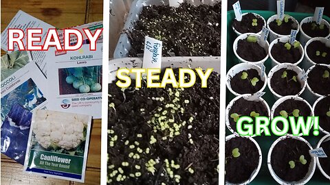 Potting Up Seedlings & An Amazing Germination Hack (No Heated Seed Mat Required!)