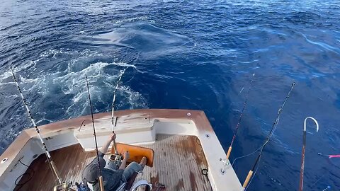 Gemach DAO Offshore with Capt. Kendall Showfety - The Dark Enlightenment