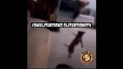 How old heads be in the gogo