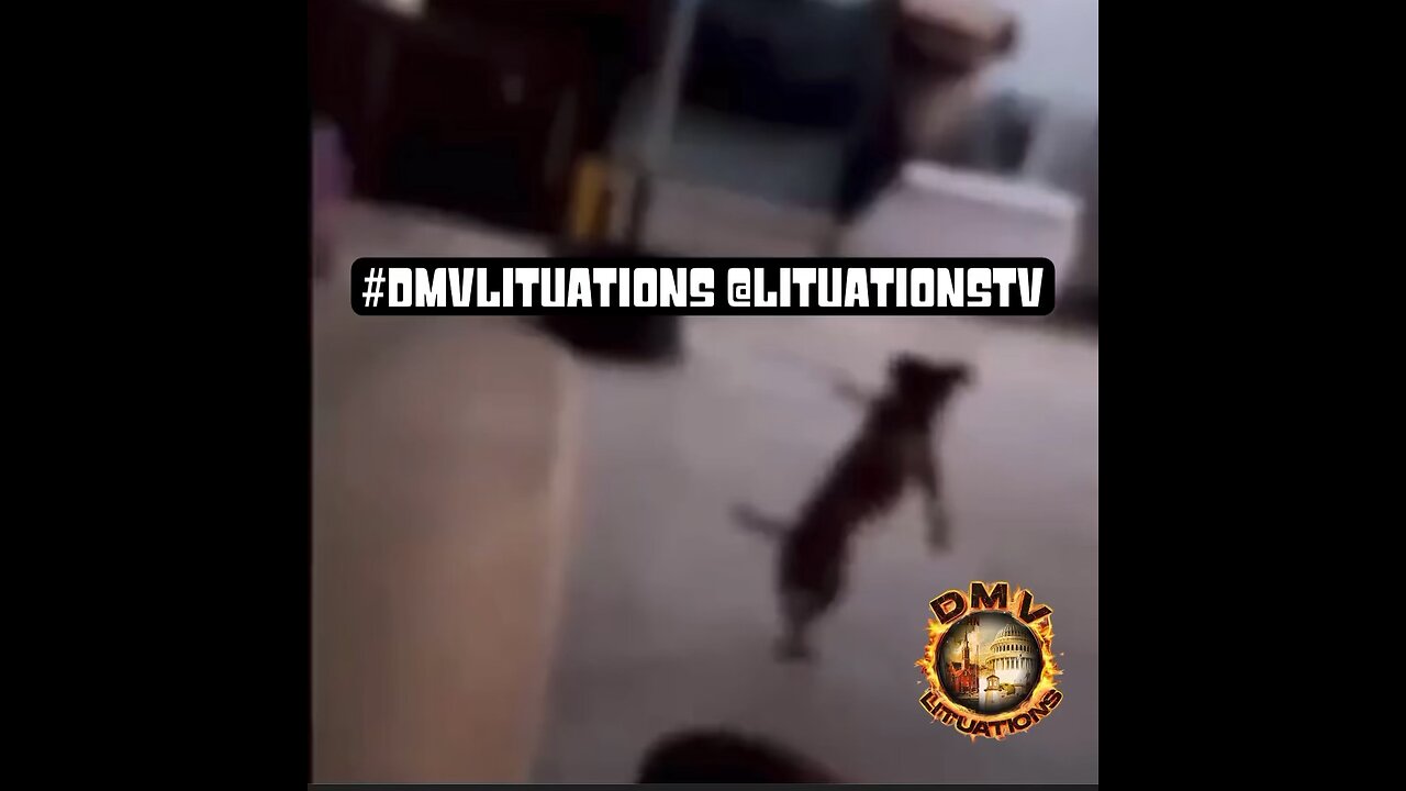 How old heads be in the gogo