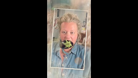 LA RATTA 🐀 #ReeseQuibell #EggplantWarz🍆 #RelatableReese #Grifter #Scientology #Podcast #LoLCoWs🐮